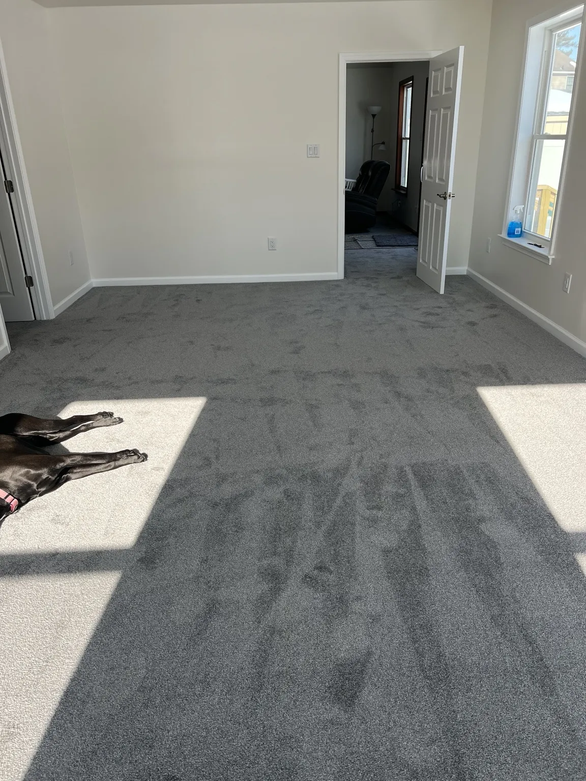 Completed carpeted living space