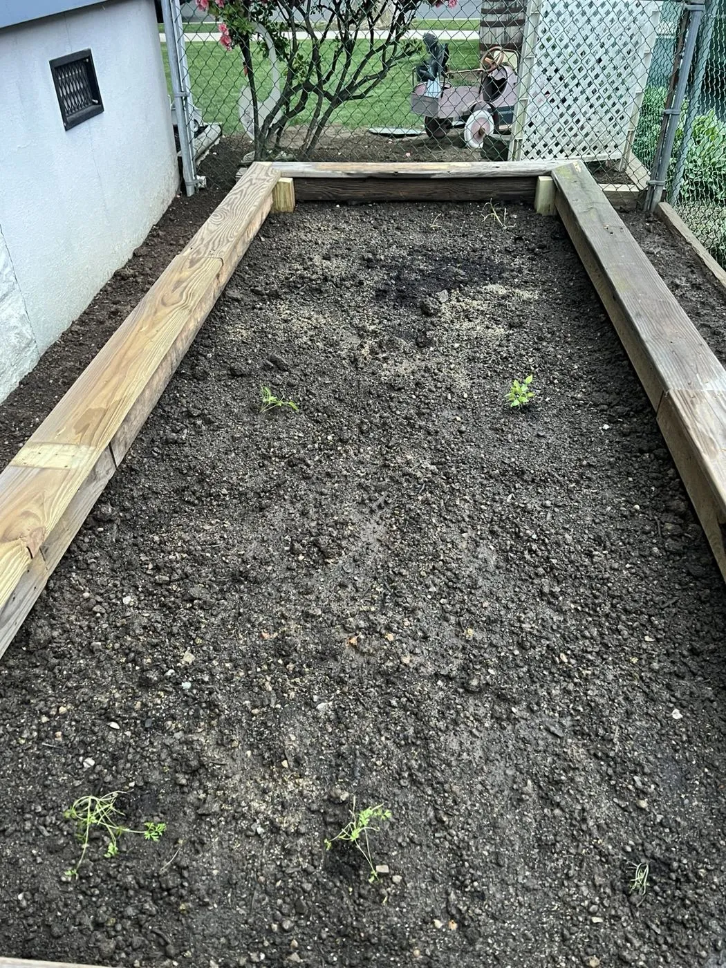 Custom raised garden project